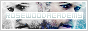 archived 88x31 button #33658