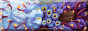 Mirror_Faerie.png