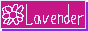 lavender.png