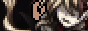 naico_button.png