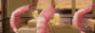 Button_Shrimp.gif