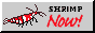seaslug.png