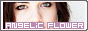 archived 88x31 button #78640