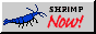 bigbluedreamm.png