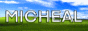 michealsoft-bimbows.gif