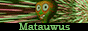 button1.gif