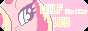 wolf-on-the-web_2.png