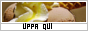archived 88x31 button #78747