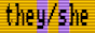 pronoun-cga-they-she-inter.png