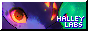 halley-labs.png