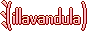 illavandula.png