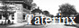 taterinx.png