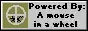 mouse.gif