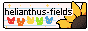 helianthus-fields_2.png