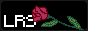 lastroseofsummer.gif