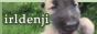 Site_irldenji.gif