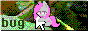 coffeebug_2.gif