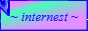 internest_button.gif