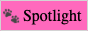 spotlight.gif